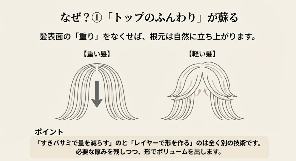 髪の重さで潰れる状態と、レイヤーを入れて軽くなり根元が立ち上がる状態を比較した図解イラスト