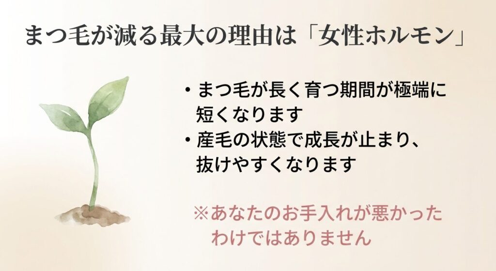 まつ毛が減る最大の理由は女性ホルモンの減少